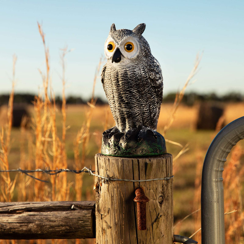 Novelty owl dog beds hotsell